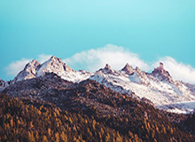 开云体育：用云端科技点亮每一次挥洒汗水的热爱