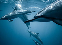 华体会华体会hth——畅享精彩体育生活的新选择